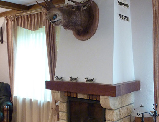 Дом Гостевой 2-местный