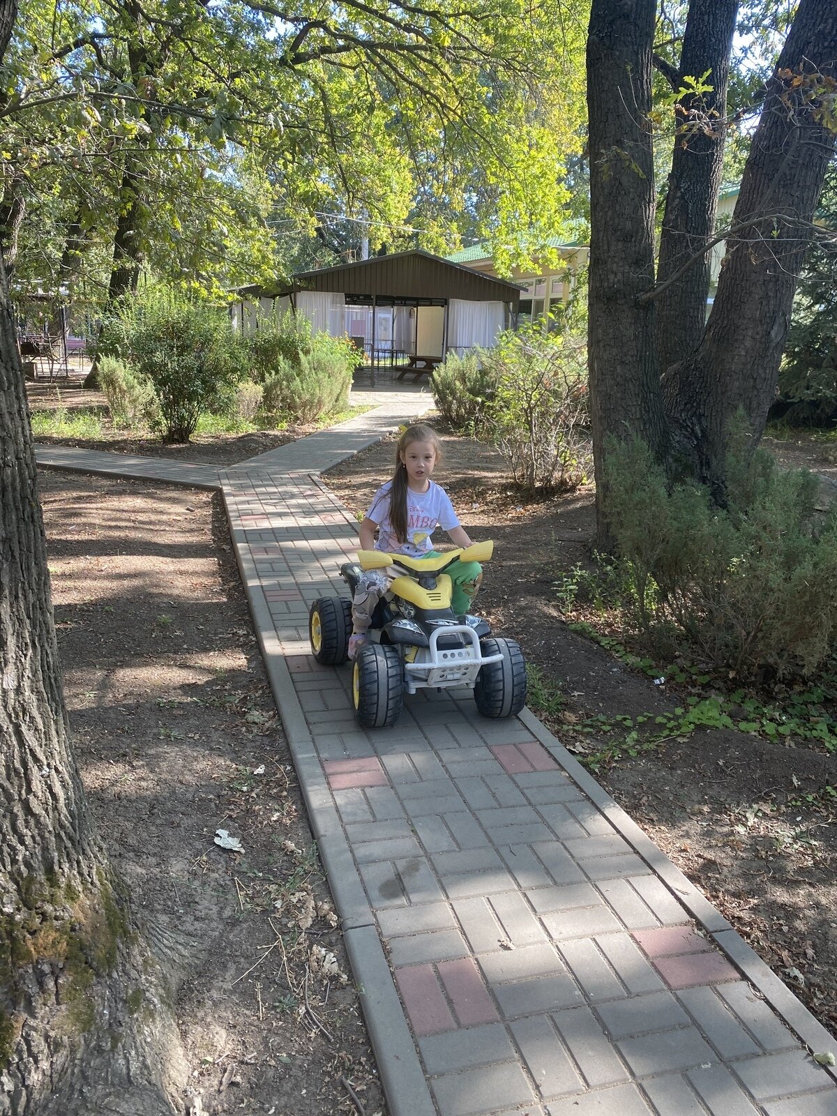 Фото 25 из отзыва о базе отдыха Дружба