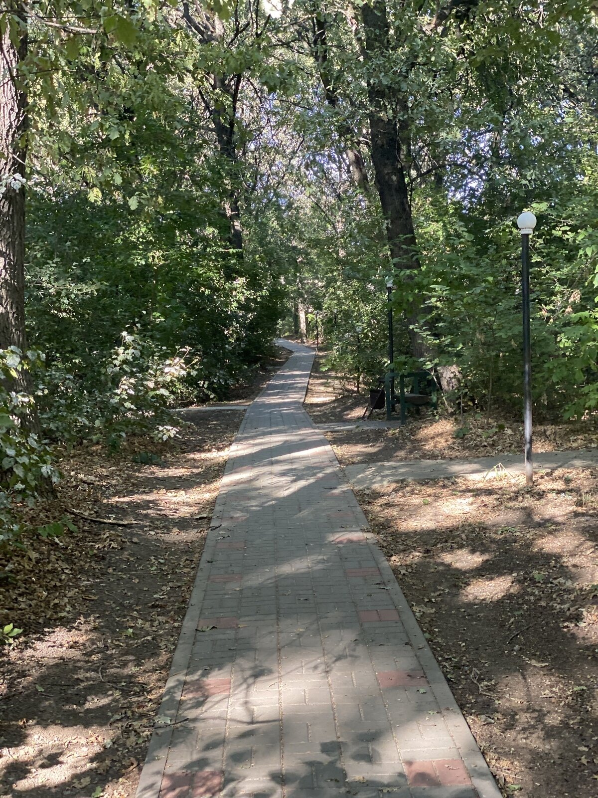 Фото 27 из отзыва о базе отдыха Дружба