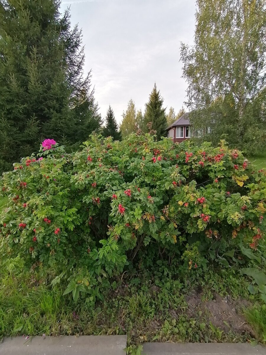 Фото 26 из отзыва о базе отдыха Бриз