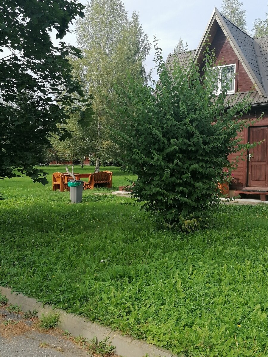 Фото 31 из отзыва о базе отдыха Бриз