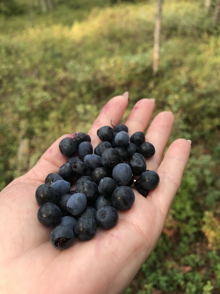 Фото из отзыва от 01.09.2023