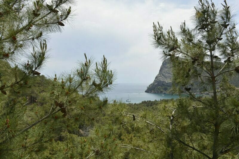 Семейный 2-местный 2-комнатный