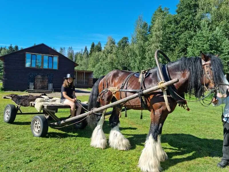Яви Нави, Ленинградская область: фото 3