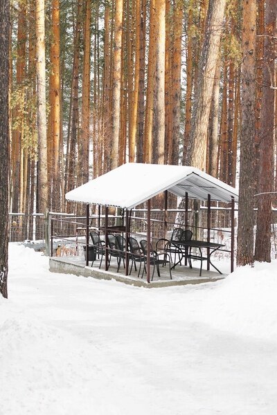 Коттедж Лесной