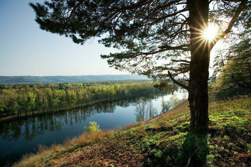 Муранский бор фото