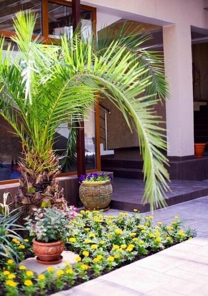 Делюкс 3-местный