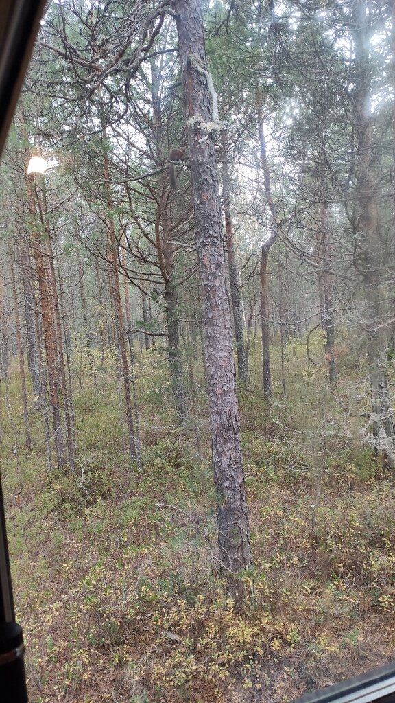 Фото из отзыва от 24.09.2023