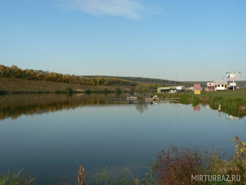 Карп воронеж