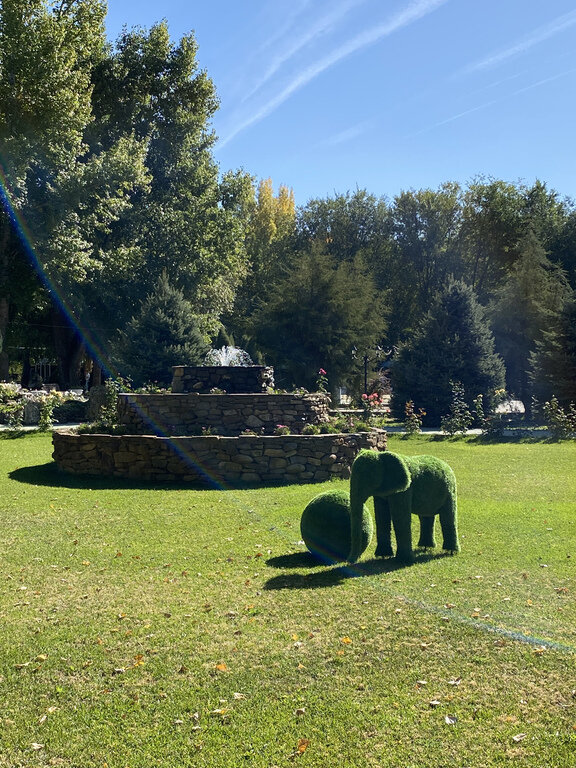 Фото из отзыва от 30.09.2023