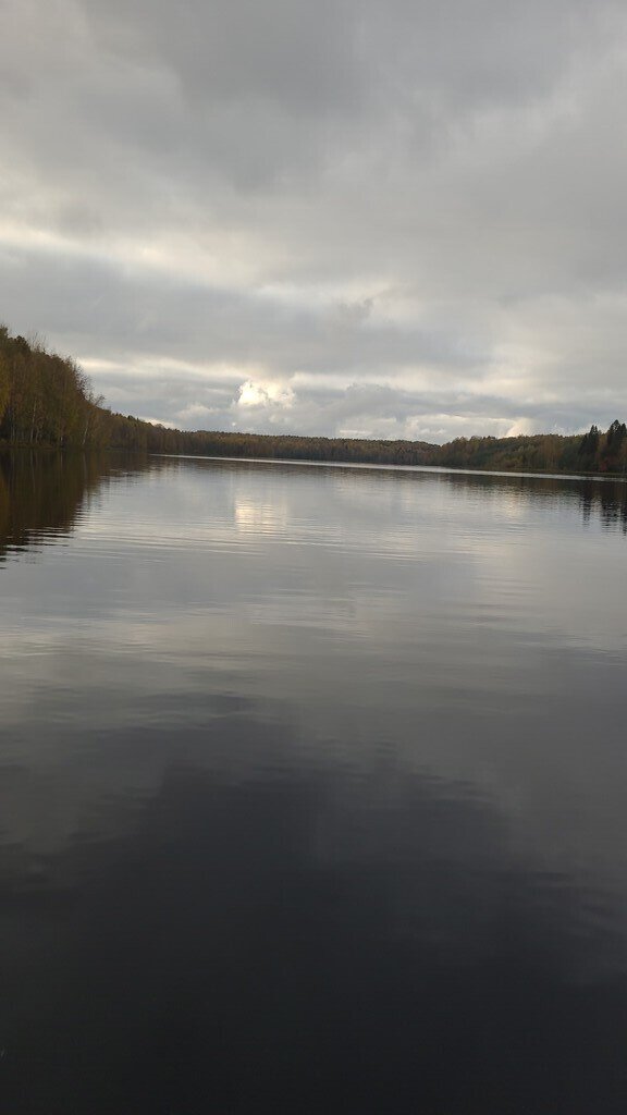 Фото из отзыва от 02.10.2023