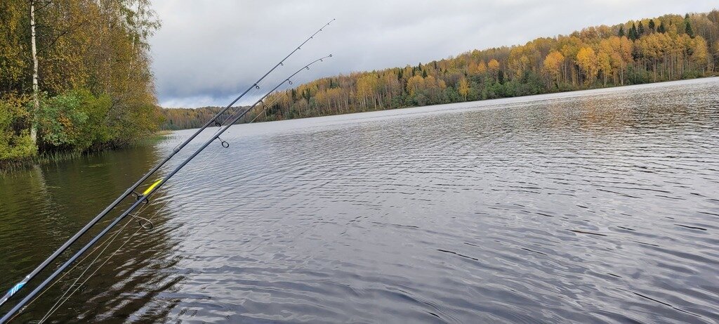 Фото из отзыва от 02.10.2023