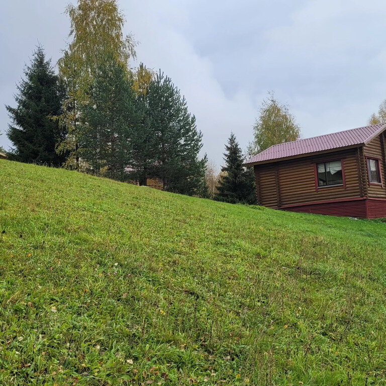 Фото из отзыва от 02.10.2023