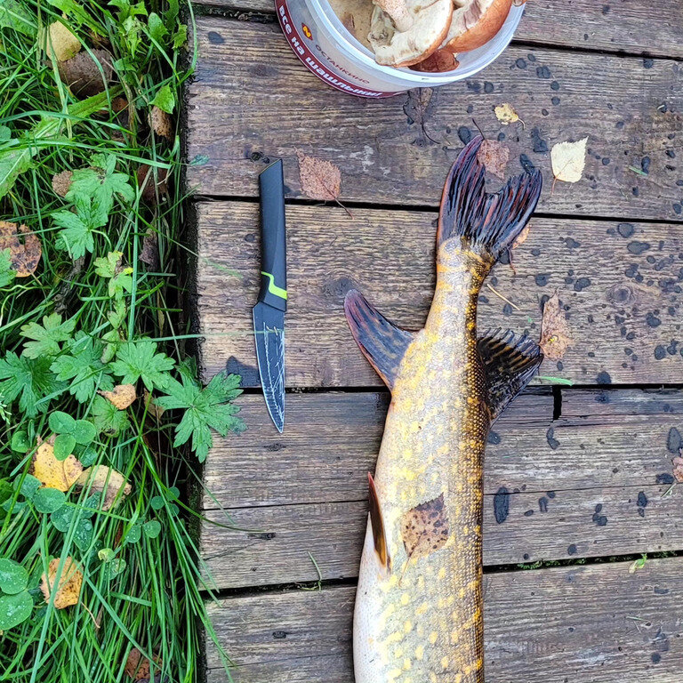 Фото из отзыва от 02.10.2023