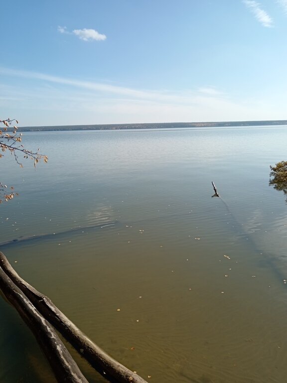 Фото из отзыва от 06.10.2023