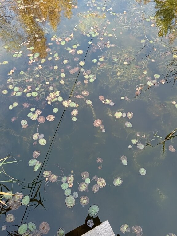 Фото из отзыва от 06.10.2023