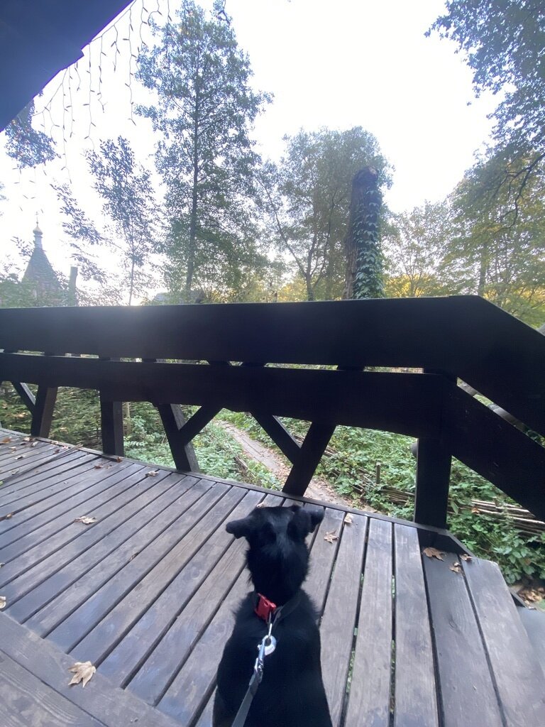 Фото из отзыва от 30.09.2023