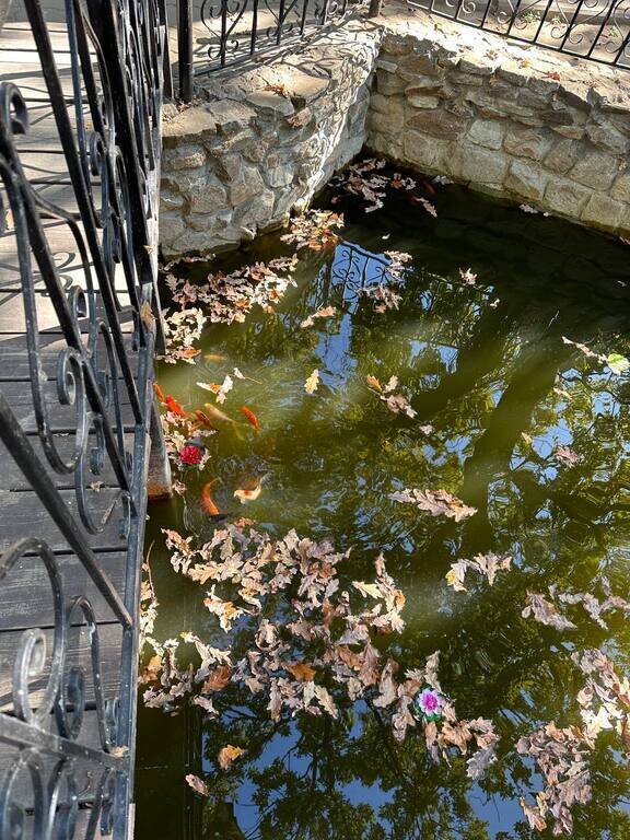 Фото из отзыва от 26.09.2023