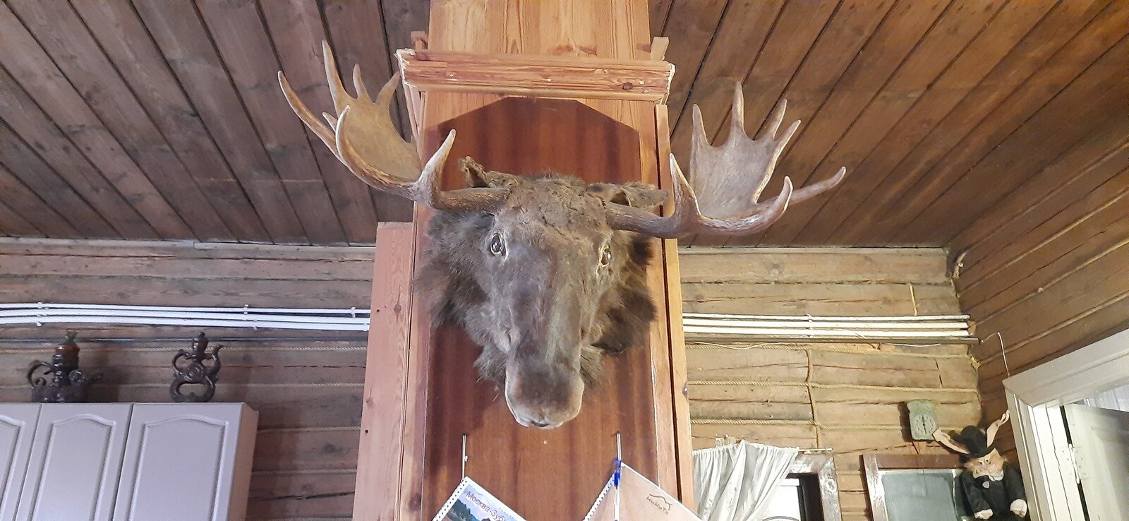 Фото 12 из отзыва о гостевом доме НиКиТа