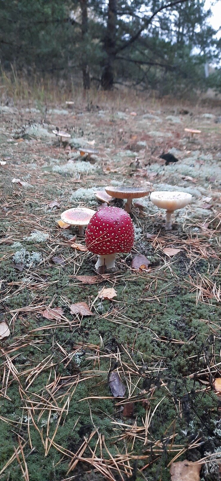 Фото 11 из отзыва о гостевом доме НиКиТа