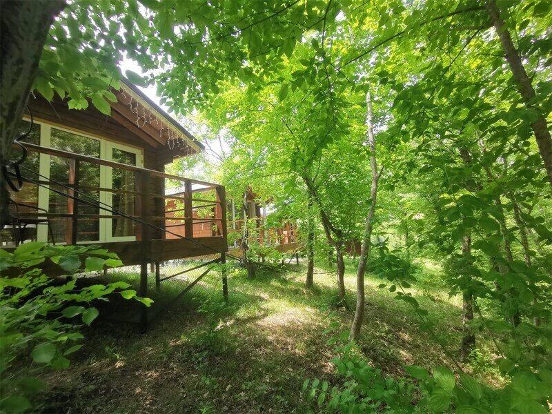 Дом 2-местный (с видом на лес)