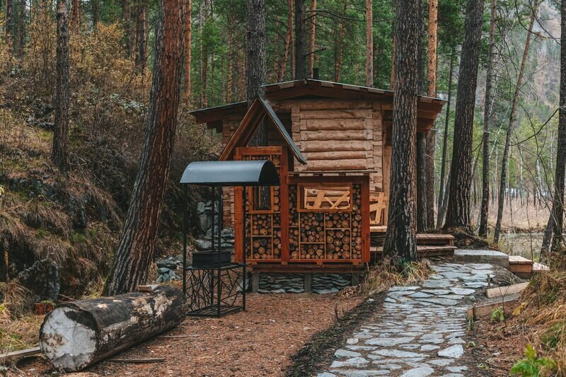 Скала, Горный Алтай (Республика Алтай): фото 5