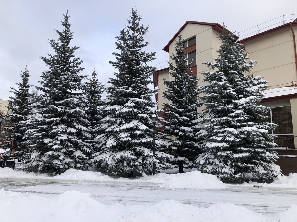 Фото из отзыва от 19.11.2023