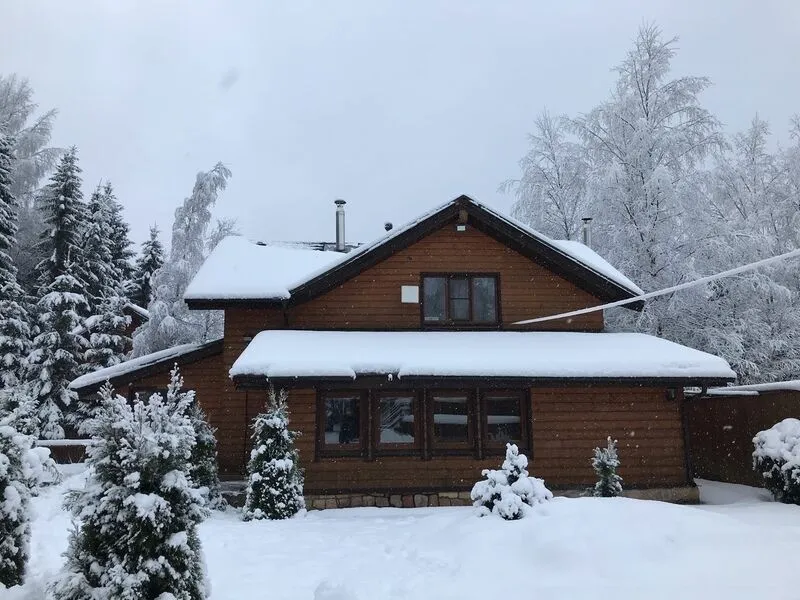 Коттедж Лебедь , Ленинградская область: фото 5