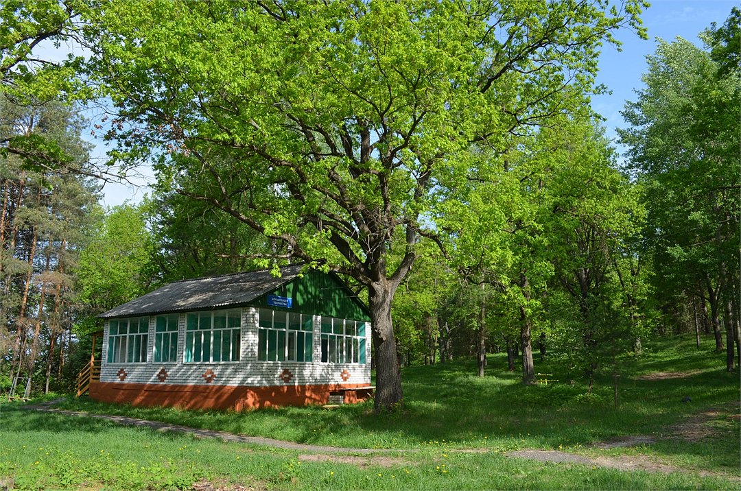 Кипячий ключ, Нижегородская область: фото 5