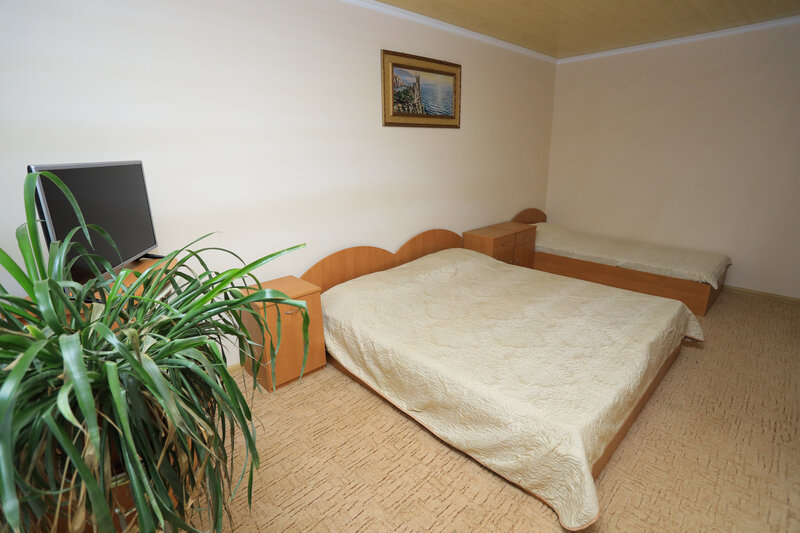 Люкс 3-местный 1-комнатный (9)