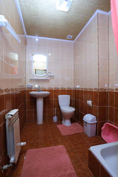 Люкс 3-местный 1-комнатный (5)