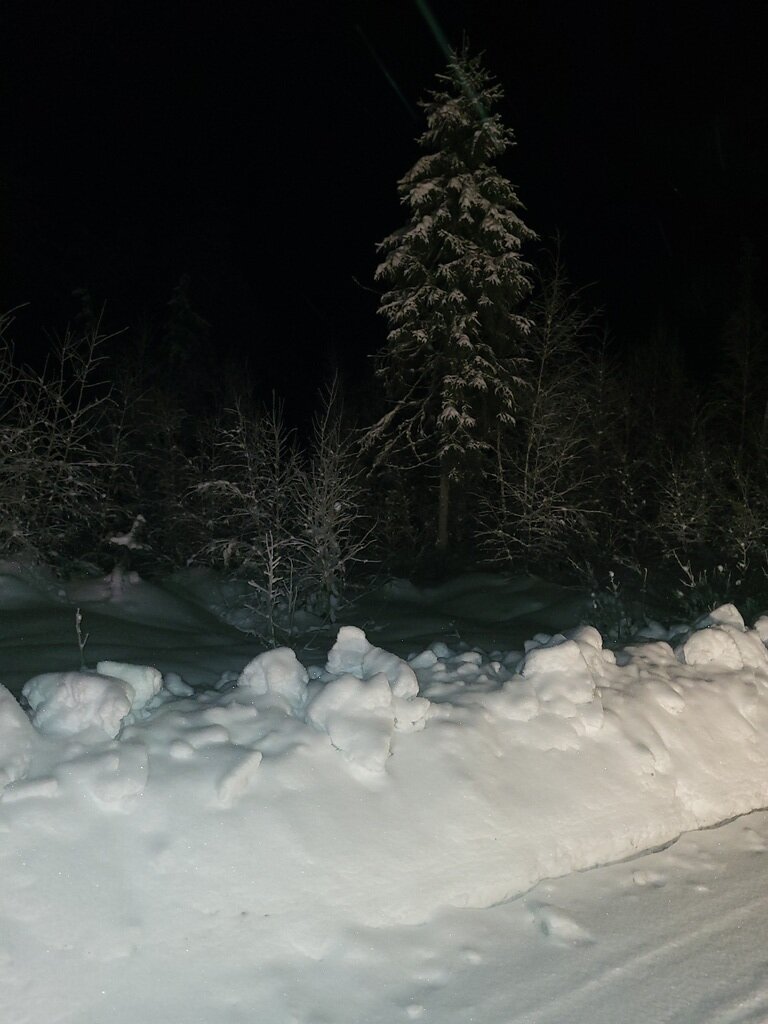 Фото из отзыва от 07.01.2024