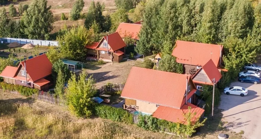 Подсолнух, Республика Чувашия: фото 2