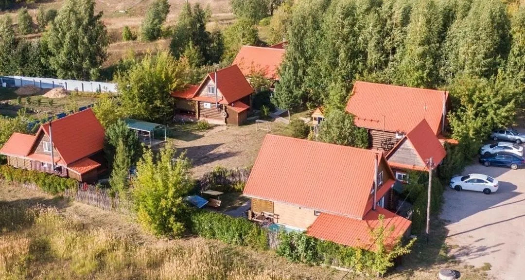 Подсолнух, Республика Чувашия: фото 2