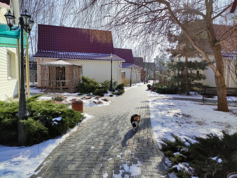 Загородный парк-отель Осинки, Волгоградская область: фото 2
