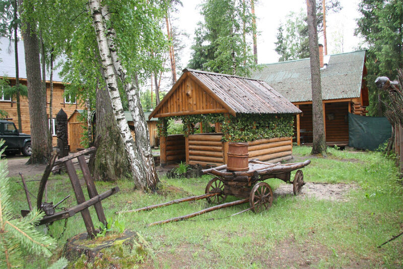 Поселок пруды нижегородская область. Конный двор Лесное Нижегородская область. Лесной курорт Нижегородская область.