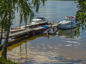 Перепелиный остров, Ярославская область: фото 5