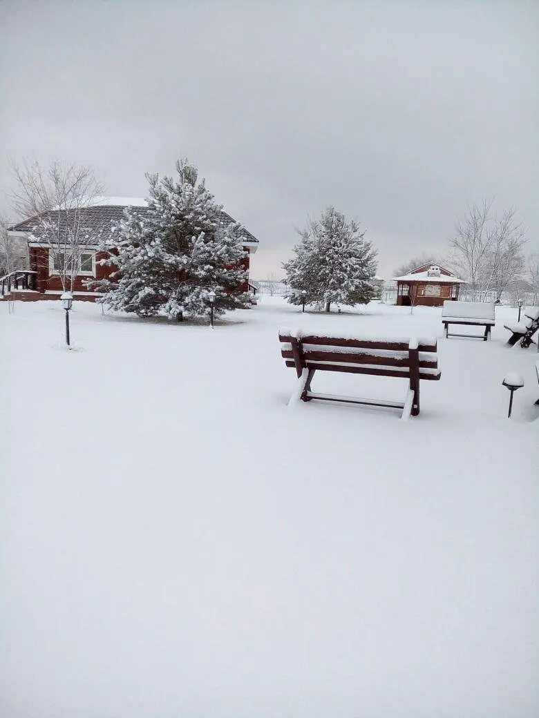 Высокий берег, Астраханская область: фото 3