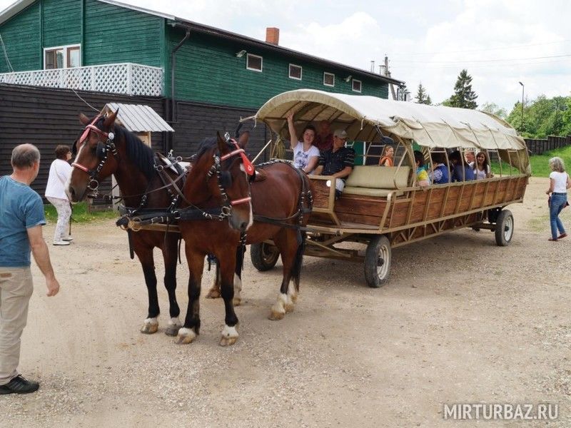 Farm отзывы. Эко ферма усадьба Кузнецово. Эко ферма на новой Риге. ЭКОФЕРМА Кузнецово Клинский район. Эко ферма на Новорижском шоссе.