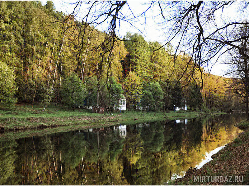 Осетр венев. Медынь пруд. Осетр венев. Река веневка в веневе. Золотой осетр тула.