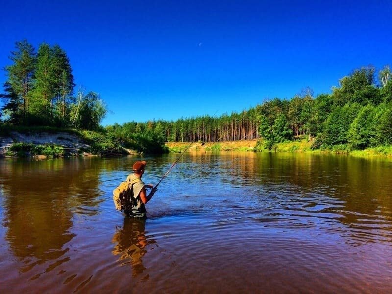 Юшут, Республика Марий Эл: фото 5