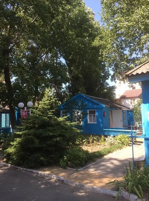 Калина Красная, Краснодарский край: фото 4