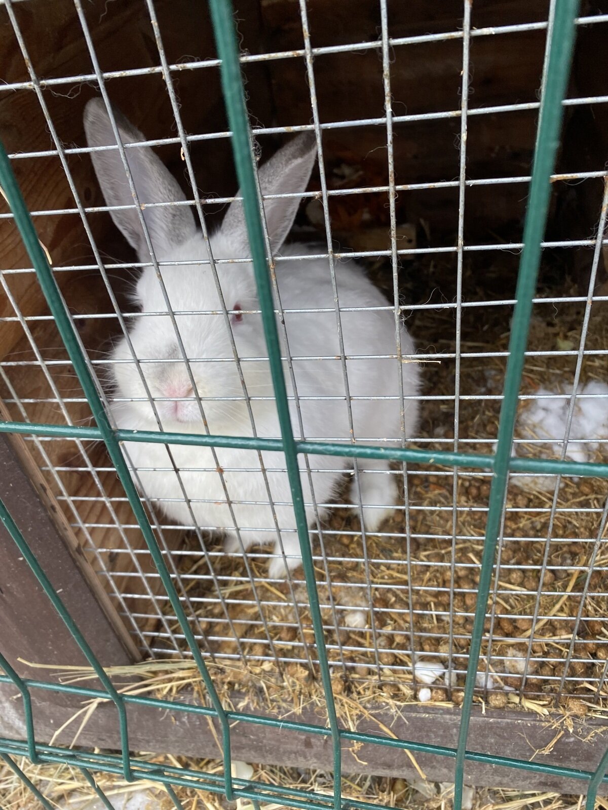 Фото 4 из отзыва о базе отдыха Лесное поместье