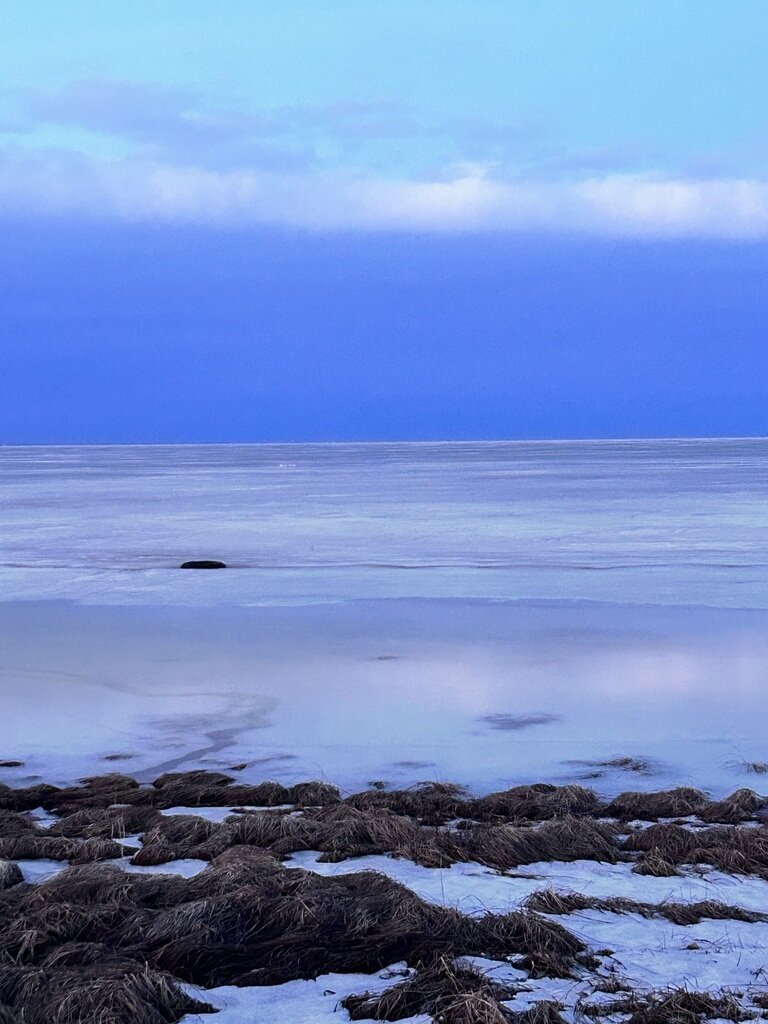 Фото из отзыва от 02.03.2024