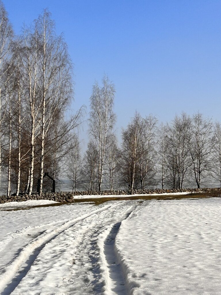 Фото из отзыва от 02.03.2024