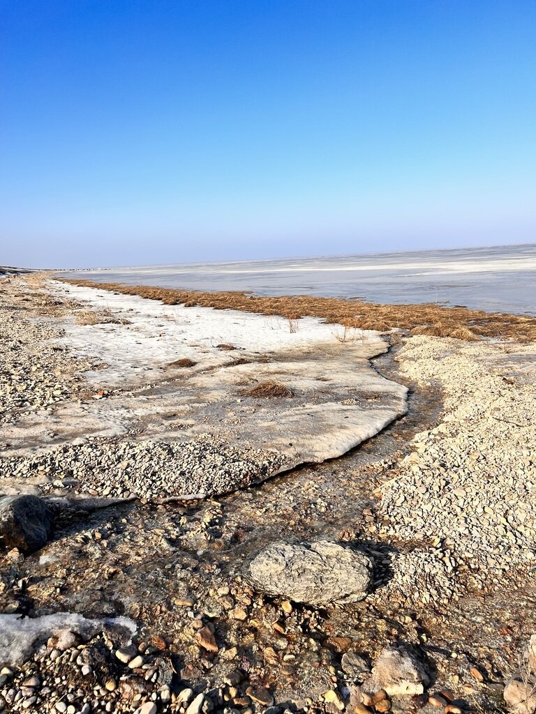 Фото из отзыва от 02.03.2024