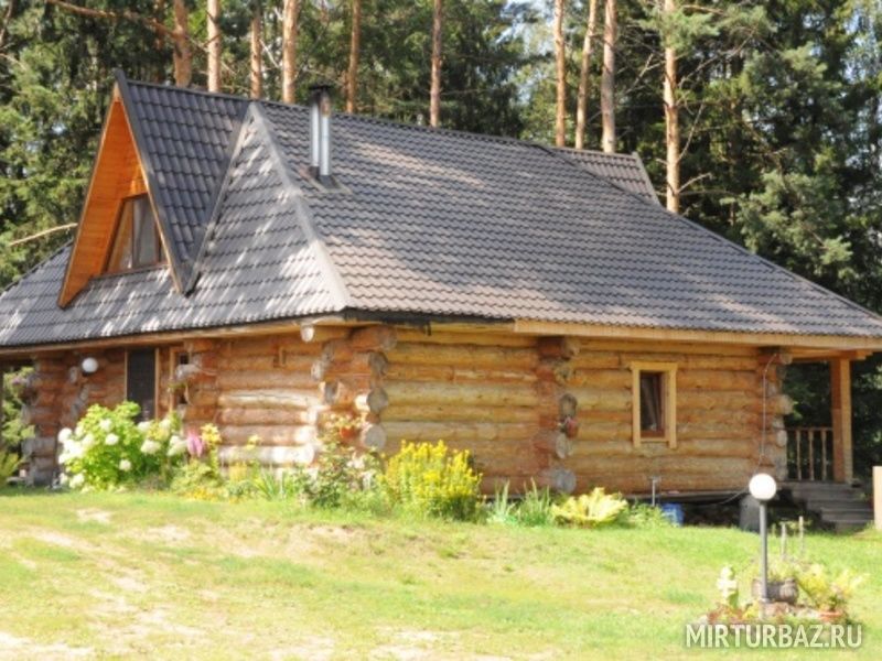 Деревья смоленской области фото и названия