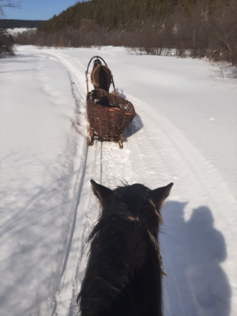 Фото из отзыва от 14.03.2024