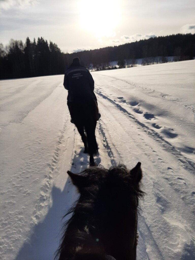 Фото из отзыва от 14.03.2024