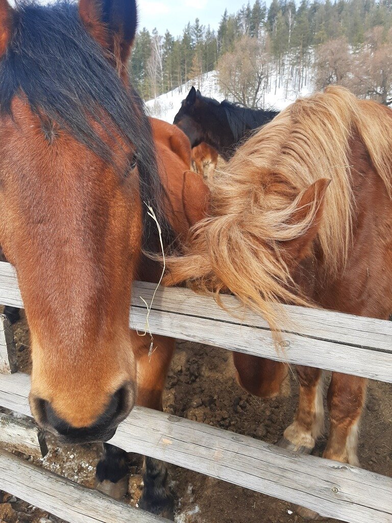 Фото из отзыва от 14.03.2024